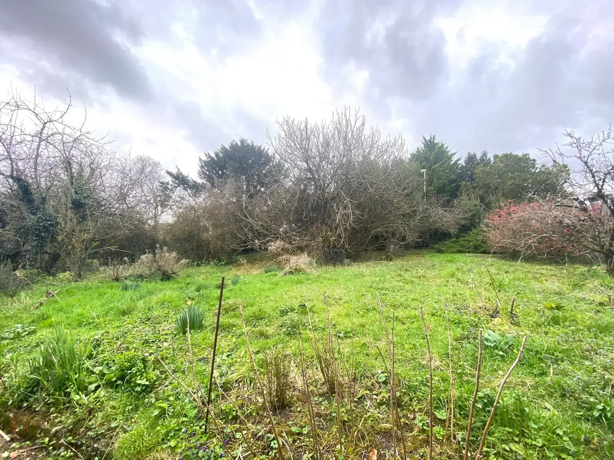 Maison en pierre à rénover avec dépendances et terrain constructible à Saint Georges des Coteaux 