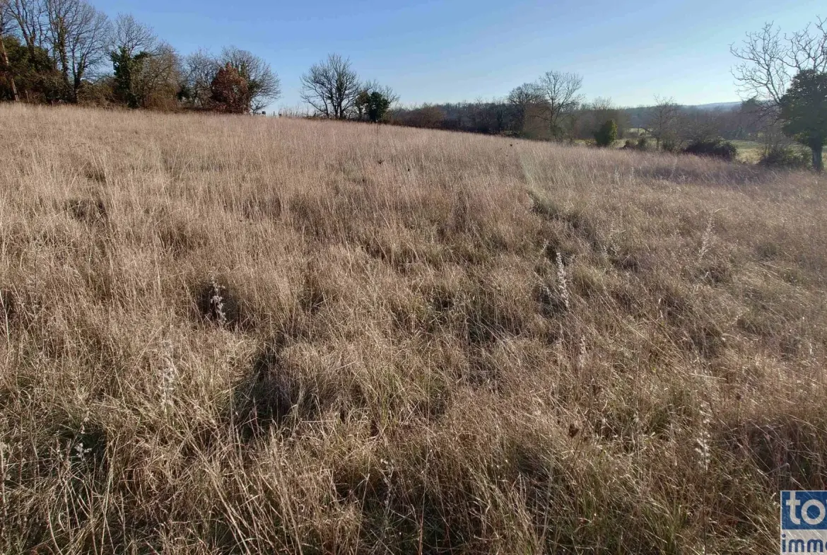 Joli terrain constructible de 4444 m² à Montsales en campagne 