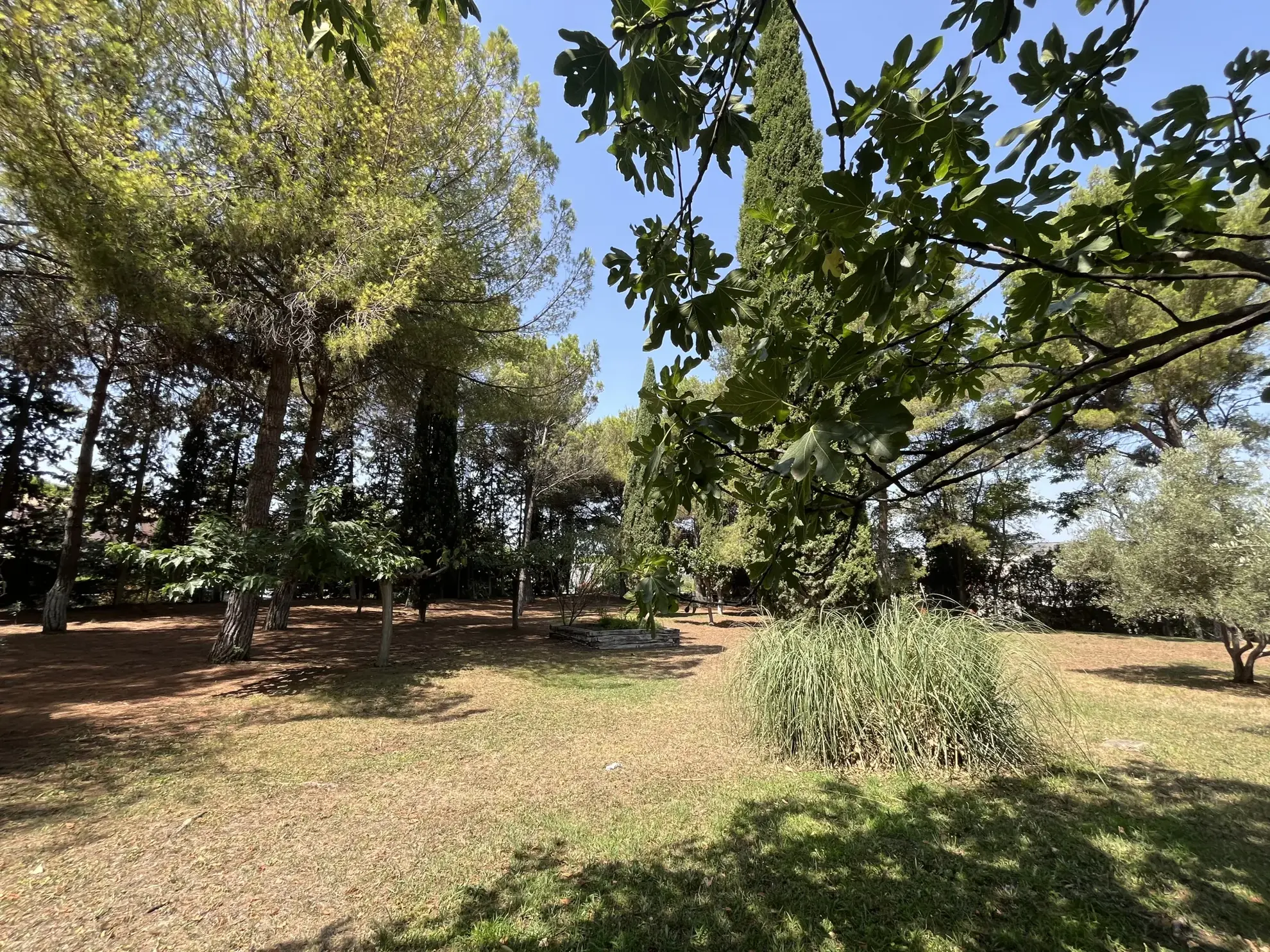 Appartement T3 avec Loggia dans Résidence Sécurisée à Montpellier Estanove 
