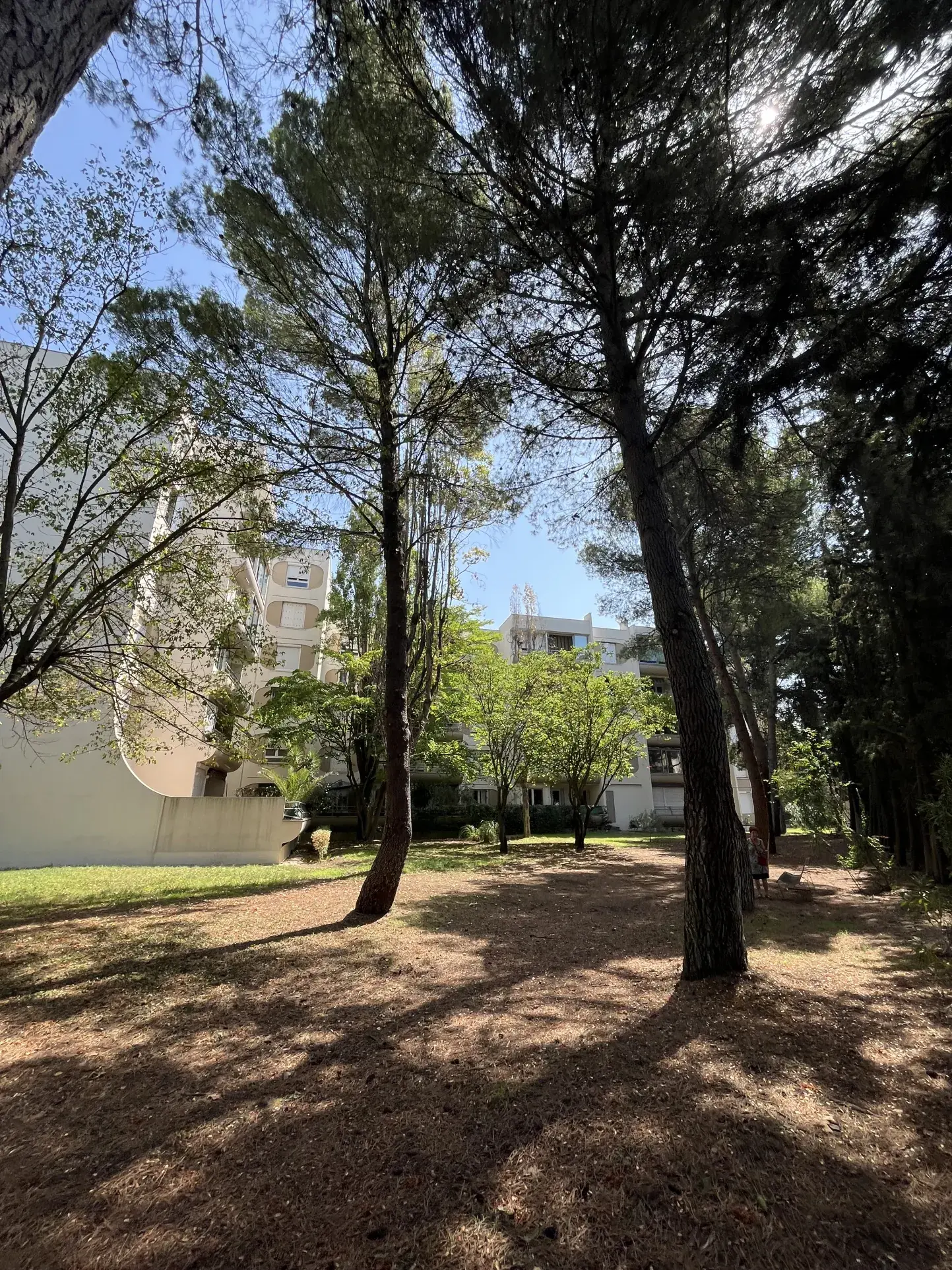Appartement T3 avec Loggia dans Résidence Sécurisée à Montpellier Estanove 