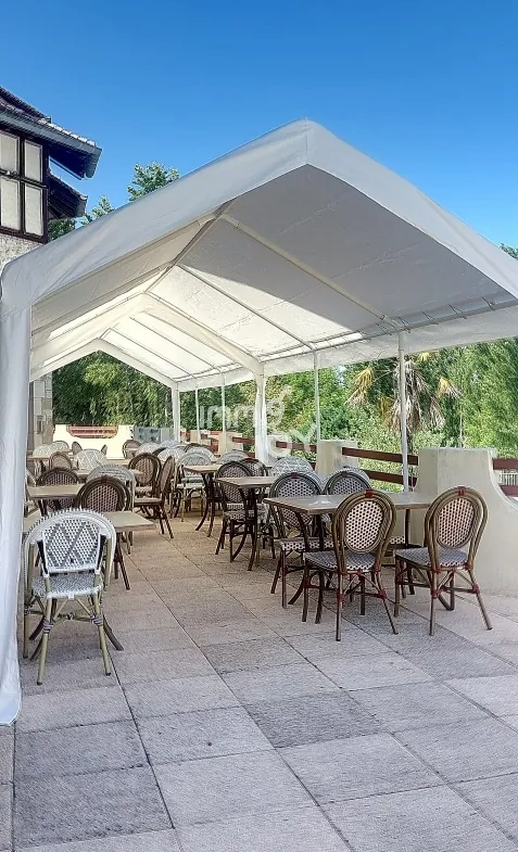 Villa de luxe à Daumazan-sur-Arize avec piscine et services, idéale pour résidence ou investissement locatif 