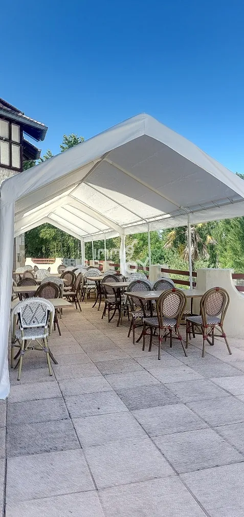 Villa de luxe à Daumazan-sur-Arize avec piscine et services, idéale pour résidence ou investissement locatif 