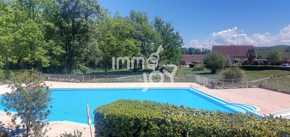Villa de luxe à Daumazan-sur-Arize avec piscine et services, idéale pour résidence ou investissement locatif 