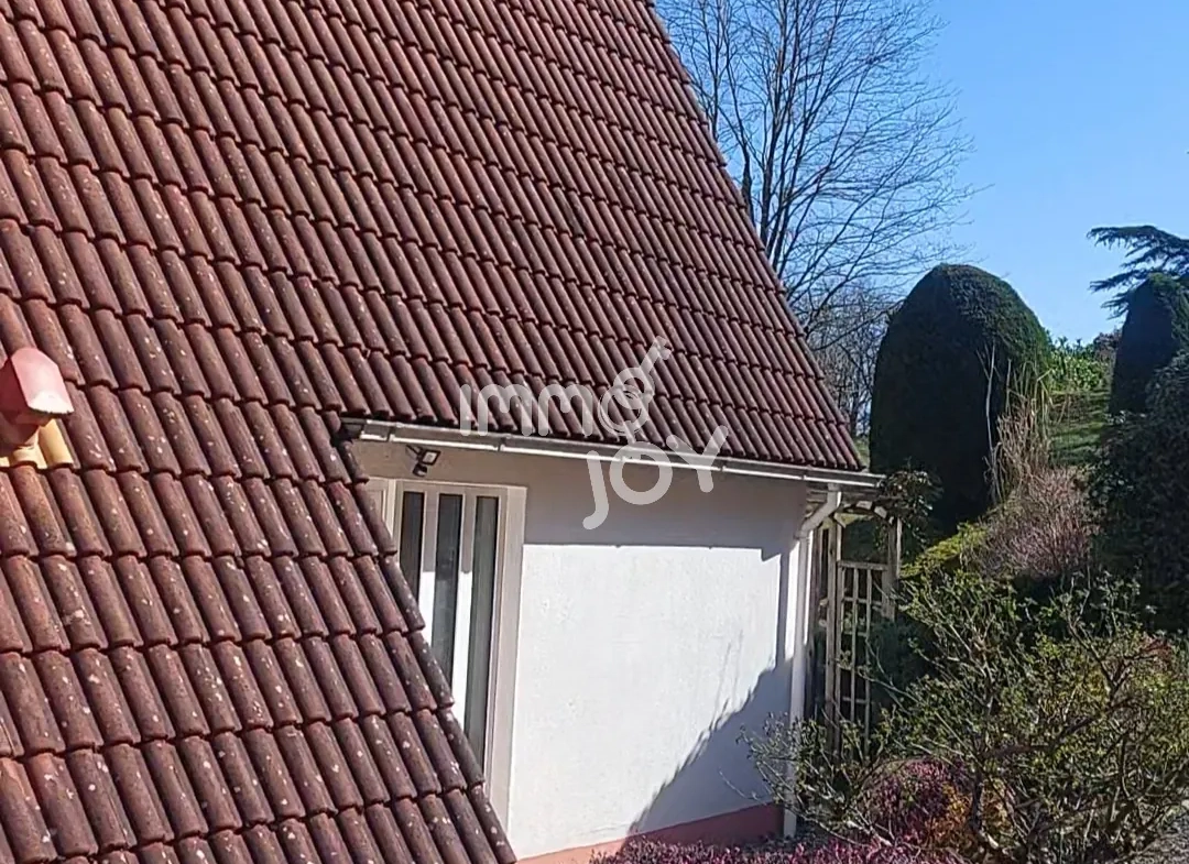 Villa de luxe à Daumazan-sur-Arize avec piscine et services, idéale pour résidence ou investissement locatif 