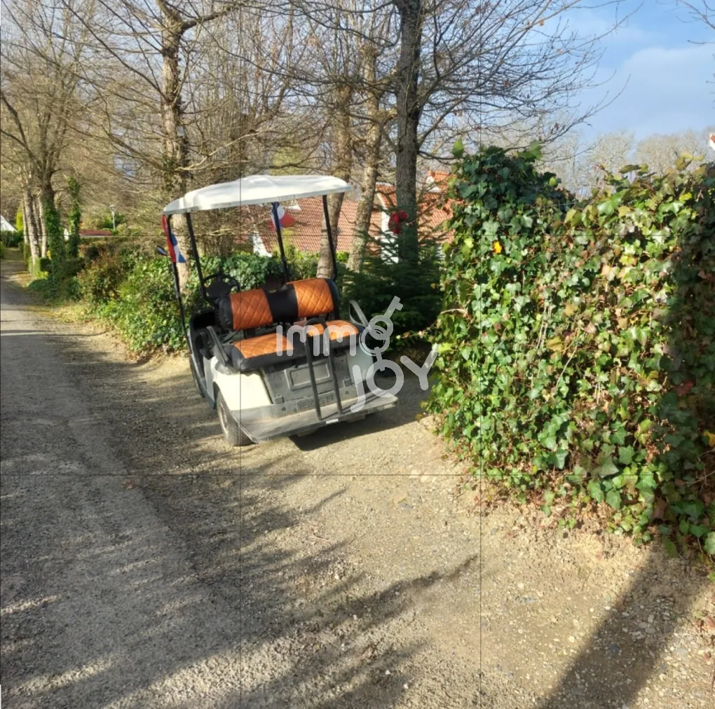 Villa de luxe à Daumazan-sur-Arize avec piscine et services, idéale pour résidence ou investissement locatif 
