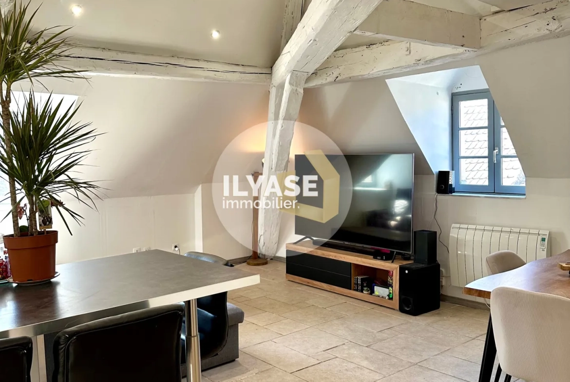 Charmant appartement duplex de 77 m2 au cœur de Chalon-sur-Saône 