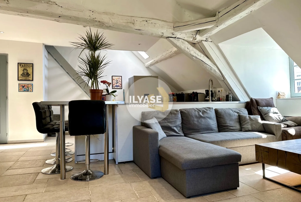 Charmant appartement duplex de 77 m2 au cœur de Chalon-sur-Saône 
