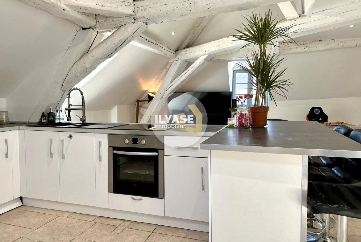 Charmant appartement duplex de 77 m2 au cœur de Chalon-sur-Saône 