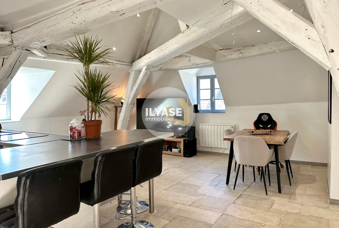 Charmant appartement duplex de 77 m2 au cœur de Chalon-sur-Saône 