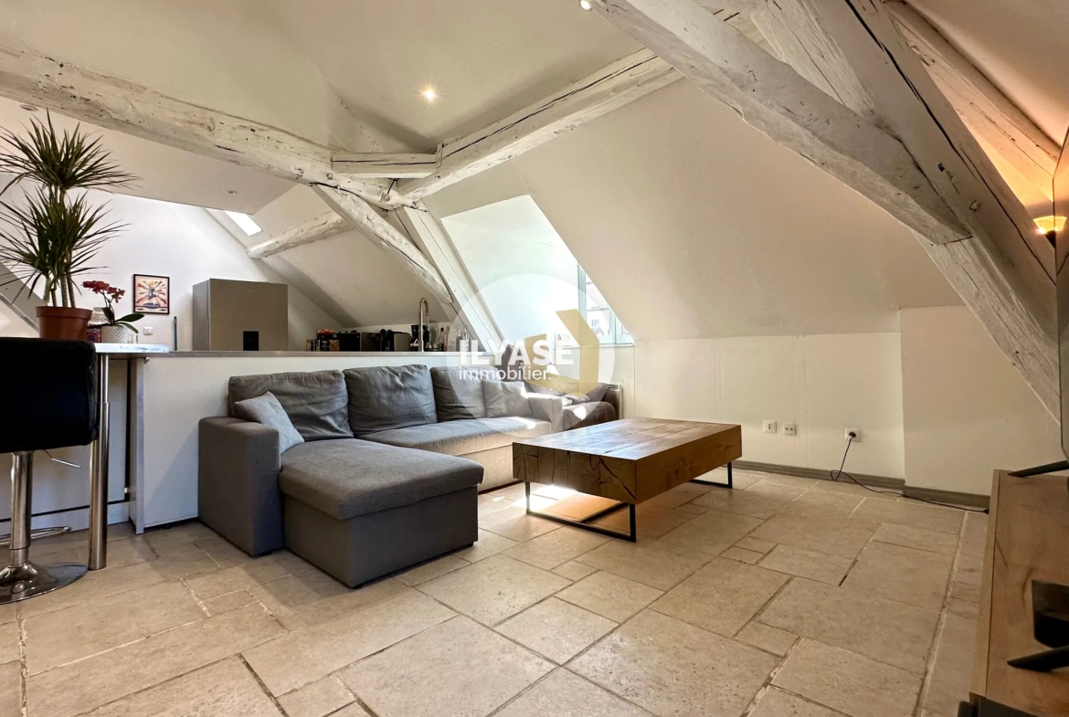 Charmant appartement duplex de 77 m2 au cœur de Chalon-sur-Saône 