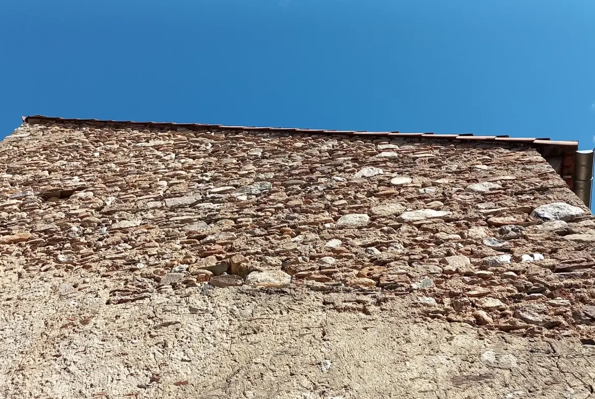 Maison de village en pierre avec terrasse à Saint Gervais sur mare - Opportunité à saisir 