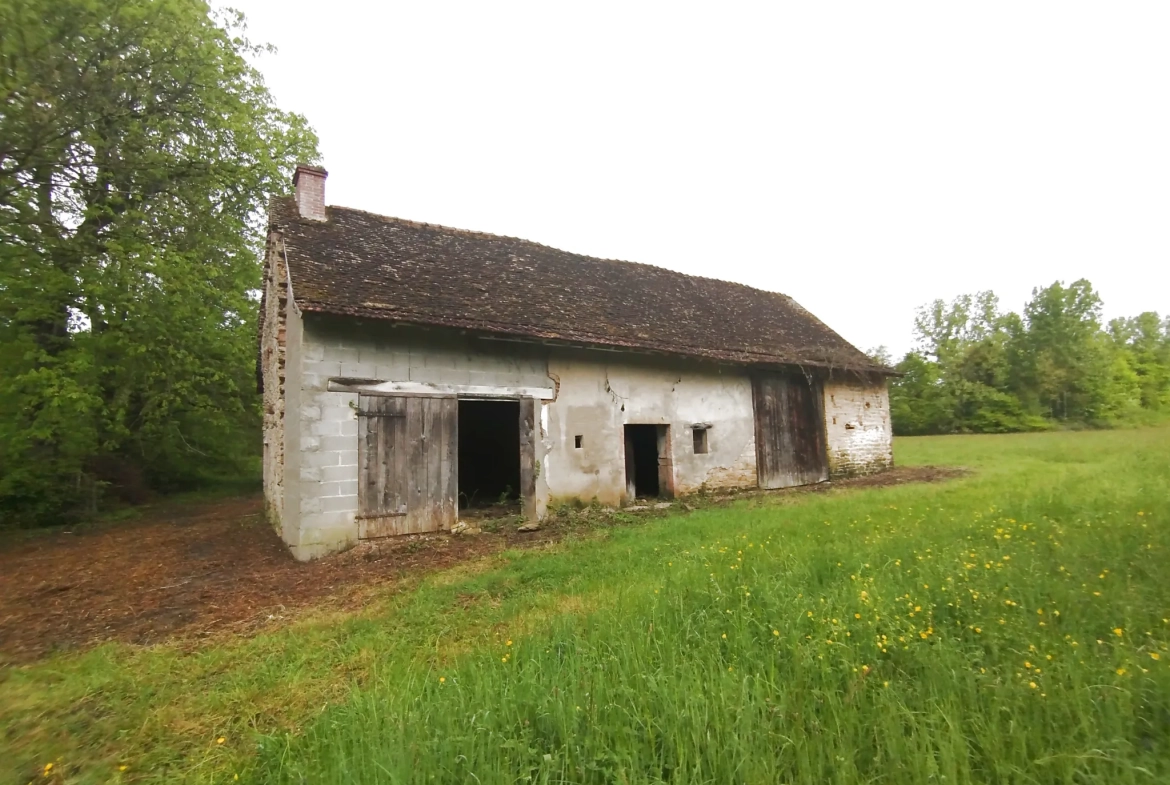 Ferme à rénover de 704 m² proche du village à L'Abergement de Cuisery 