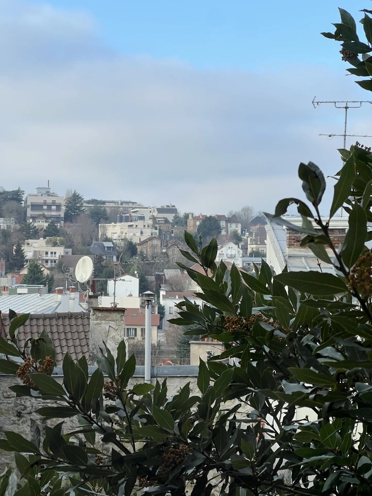 Appartement 2 pièces de 35 m² à Meudon avec vue dégagée 