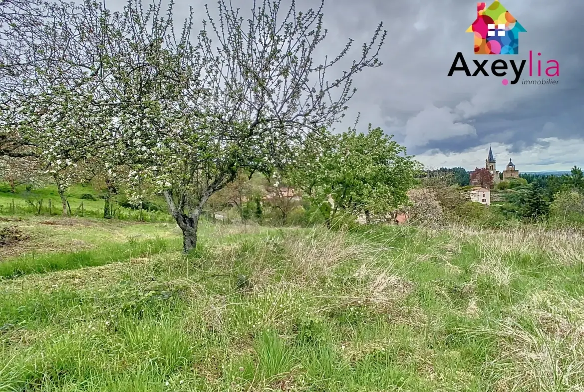 Maison en pierres à rénover au Crozet avec terrain de 3646 m² et dépendance 
