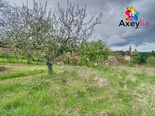 Maison en pierres à rénover au Crozet avec terrain de 3646 m² et dépendance 