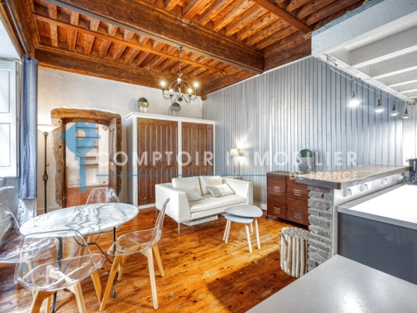 Appartement de prestige de 52 m² dans un hôtel Renaissance à Grenoble Notre-Dame 