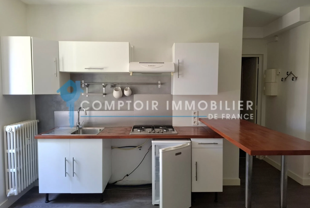 Appartement T1 de 31m² à vendre à Vaulnaveys-Le-Haut en Isère 
