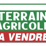 Terrain agricole à Dornas de plus de 5,8 ha, idéal pour projets ruraux