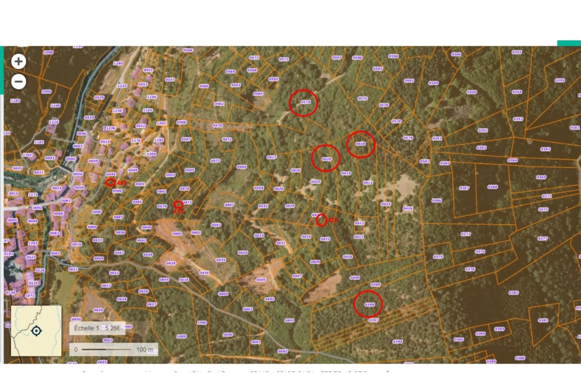 Terrain agricole à Dornas de plus de 5,8 ha, idéal pour projets ruraux 
