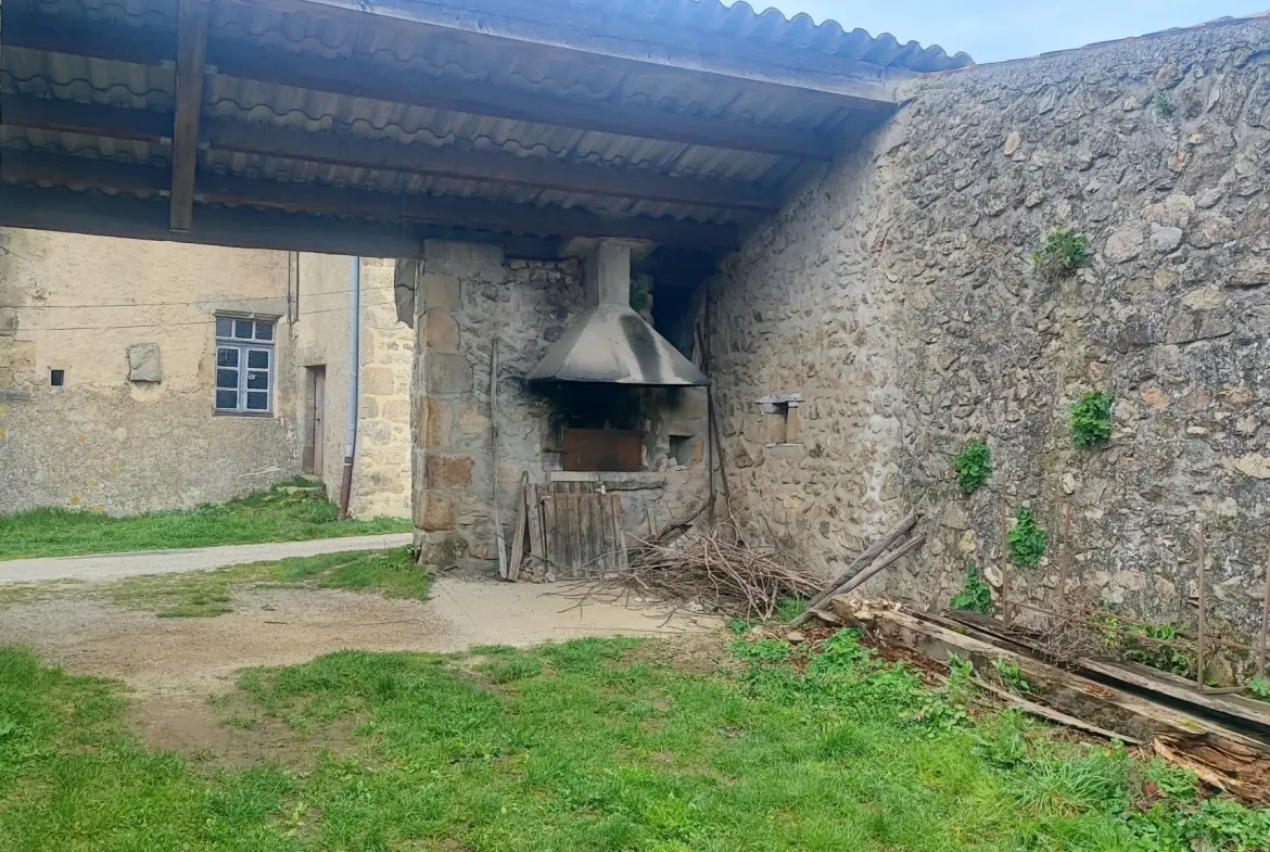 Opportunité immobilière à Champis : bâtiment à rénover avec grand terrain 