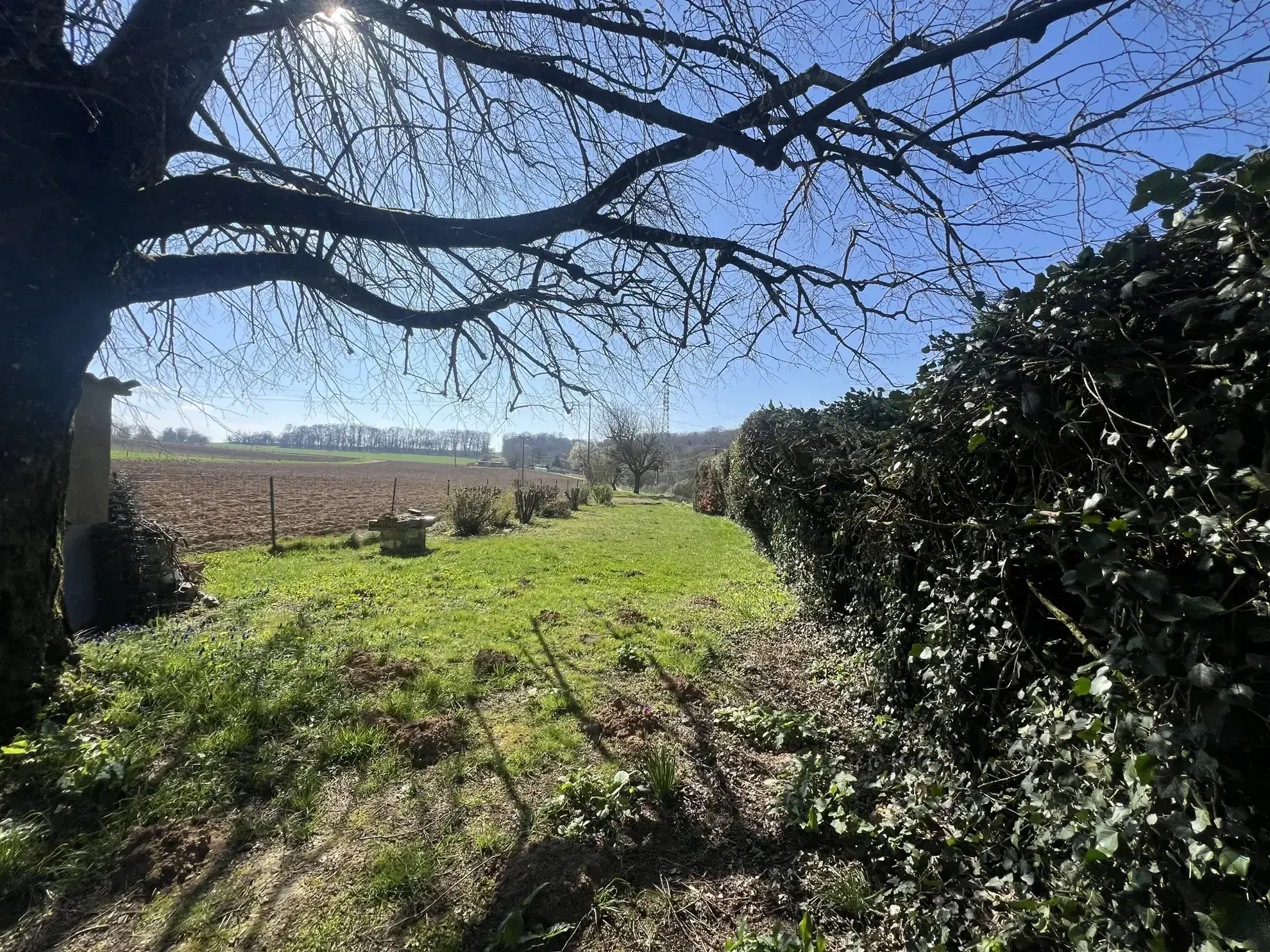 Terrain de 10 ares avec cabane à Brevilliers près de Belfort 