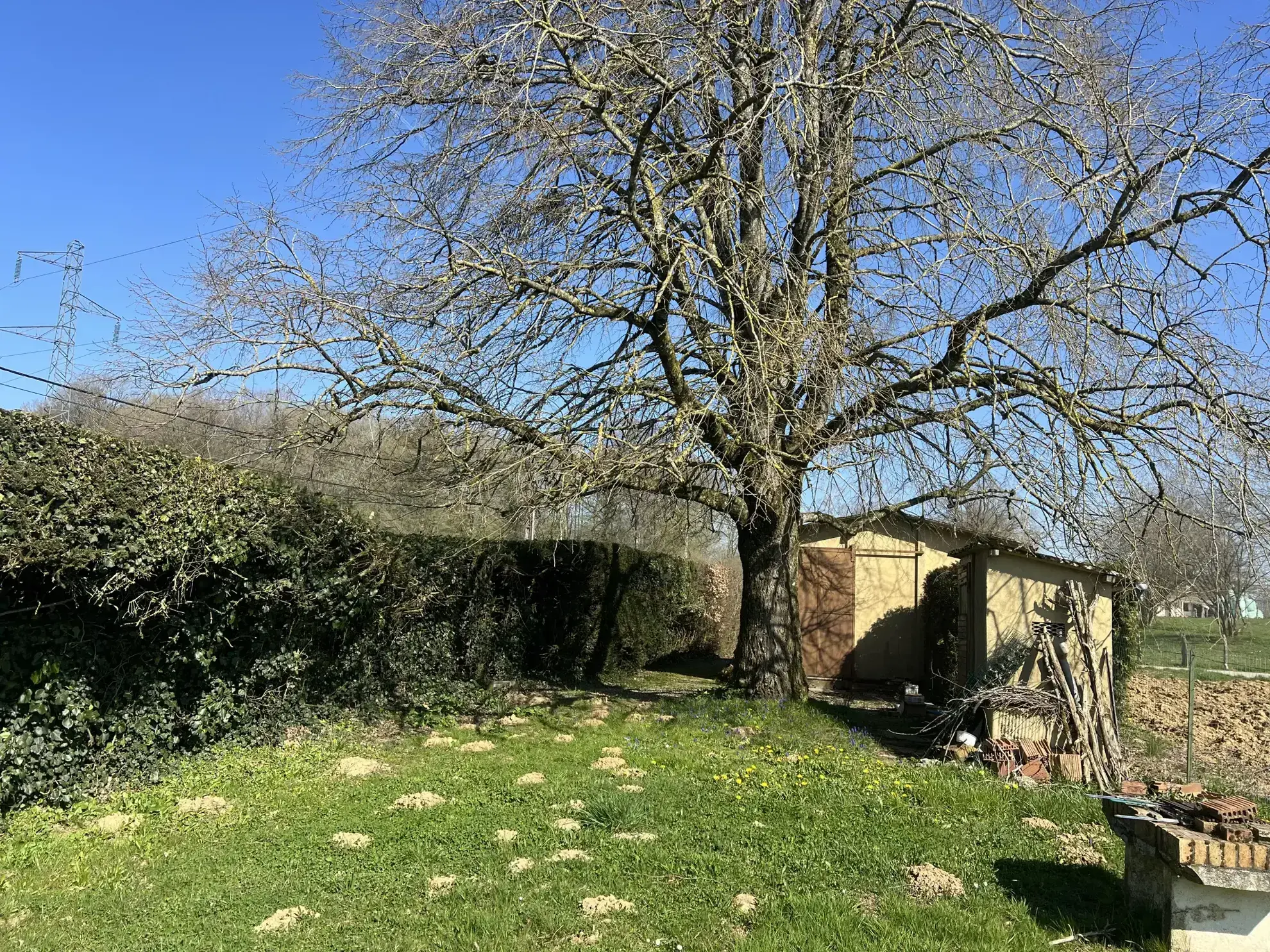 Terrain de 10 ares avec cabane à Brevilliers près de Belfort 