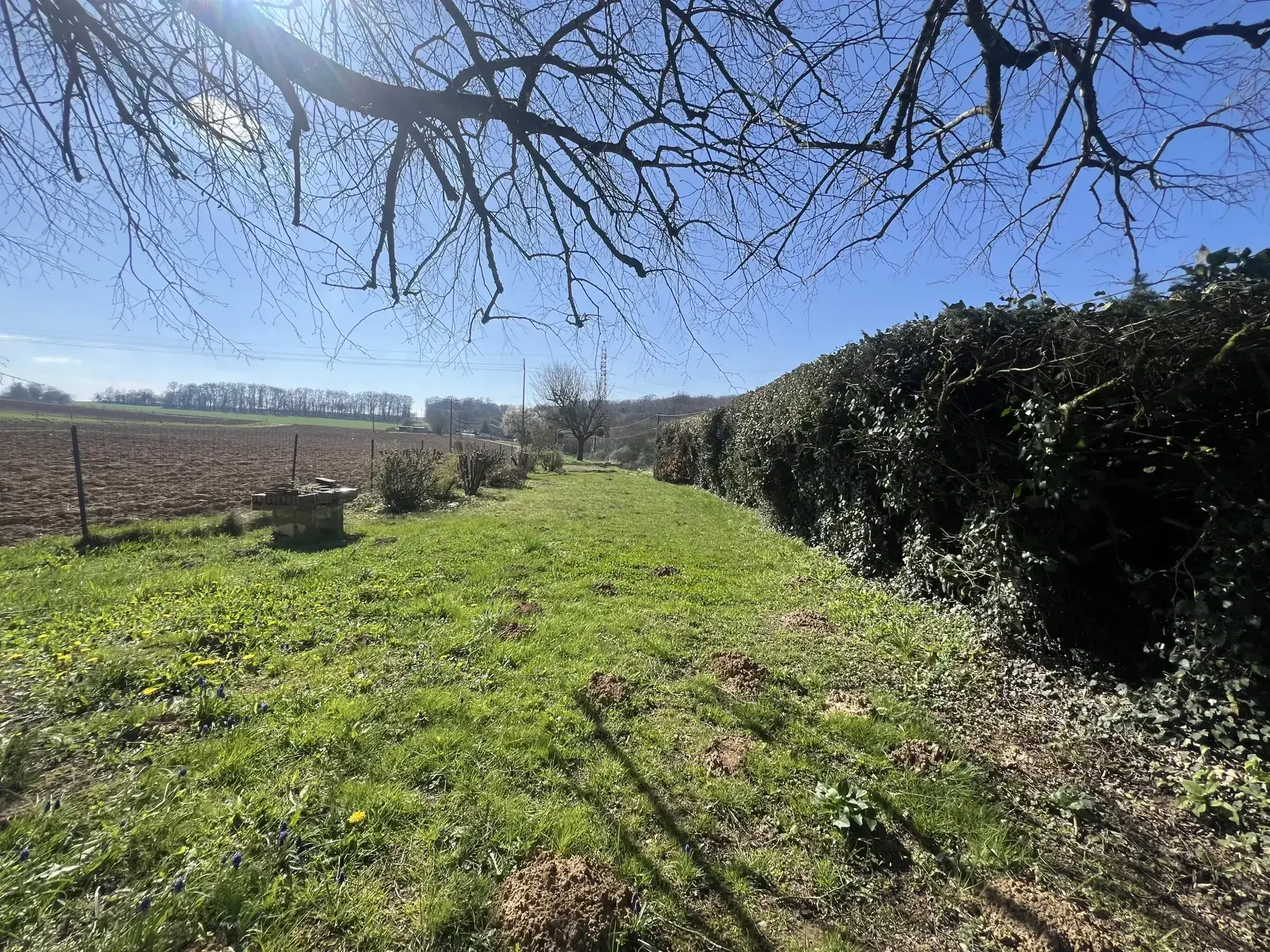 Terrain de 10 ares avec cabane à Brevilliers près de Belfort 