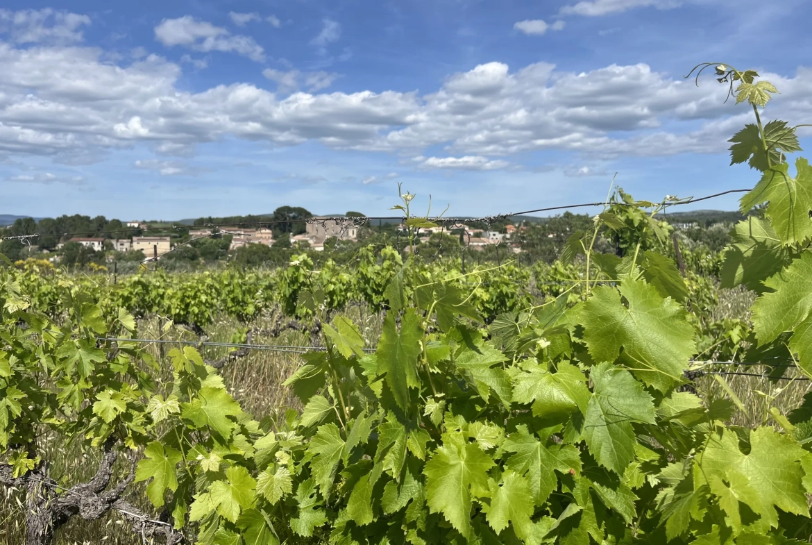 Achat Terrain Agricole avec Vignes et Oliviers à Gignac (34150) 