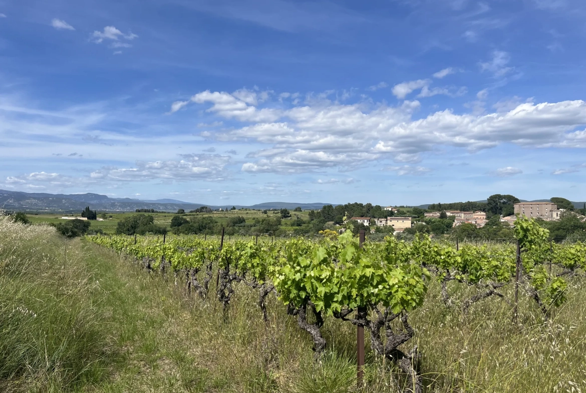 Achat Terrain Agricole avec Vignes et Oliviers à Gignac (34150) 