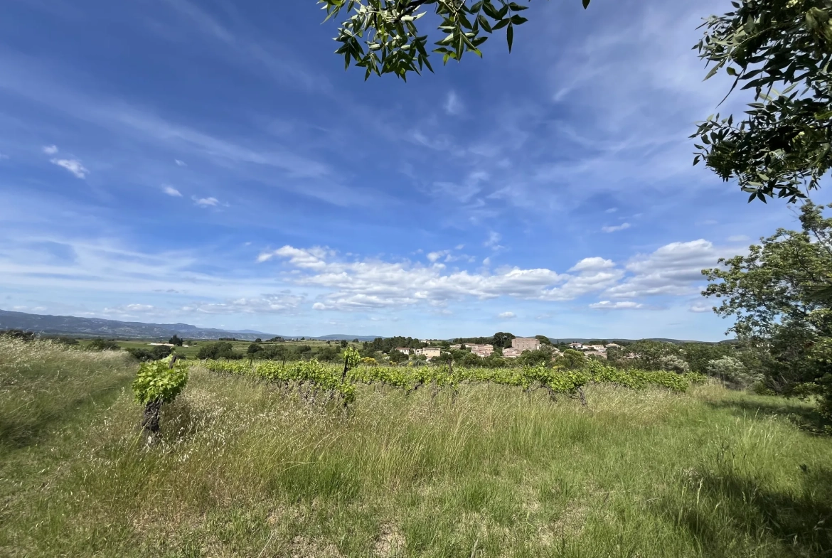 Achat Terrain Agricole avec Vignes et Oliviers à Gignac (34150) 
