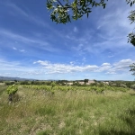Achat Terrain Agricole avec Vignes et Oliviers à Gignac (34150)
