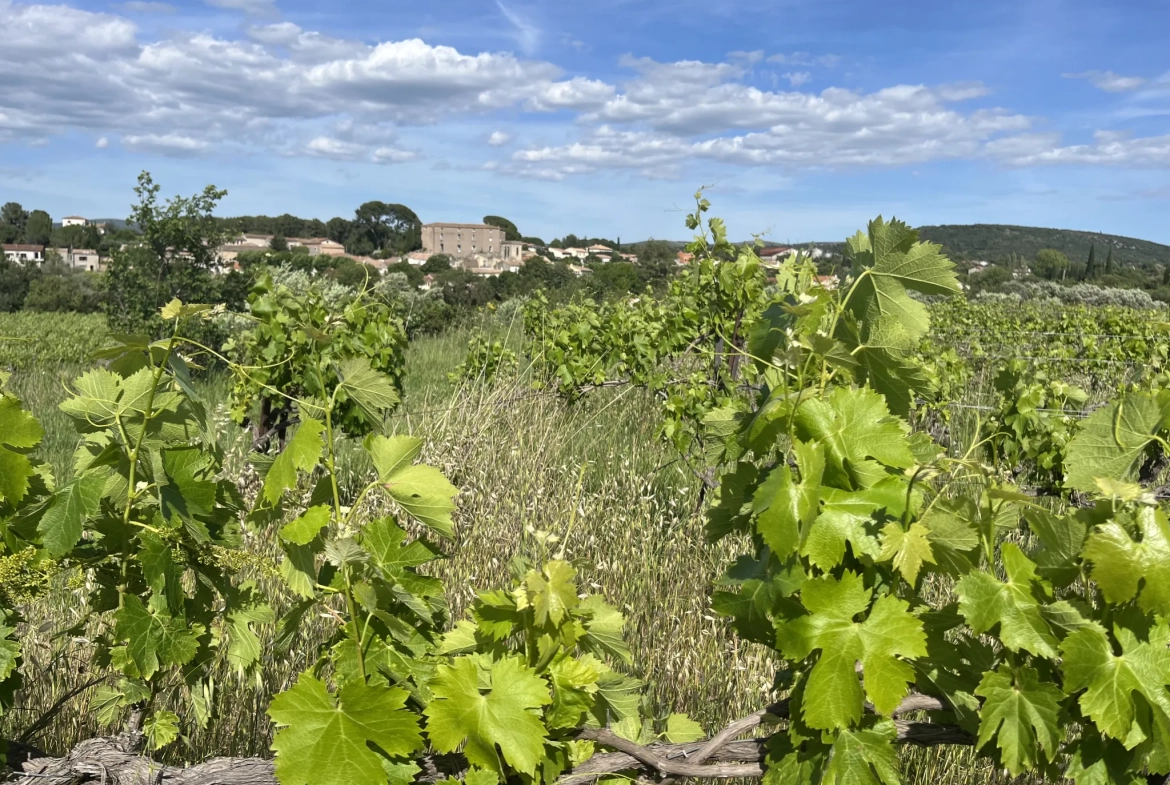 Achat Terrain Agricole avec Vignes et Oliviers à Gignac (34150) 