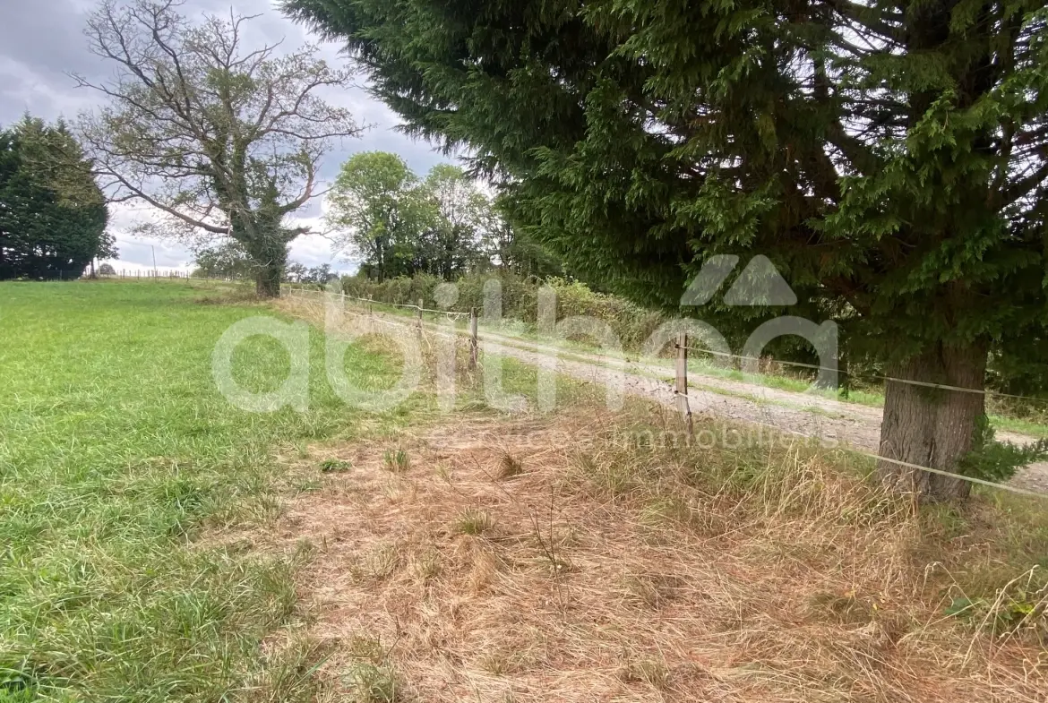 Terrain constructible non viabilisé à Cherves-Chatelars - Environnement calme 