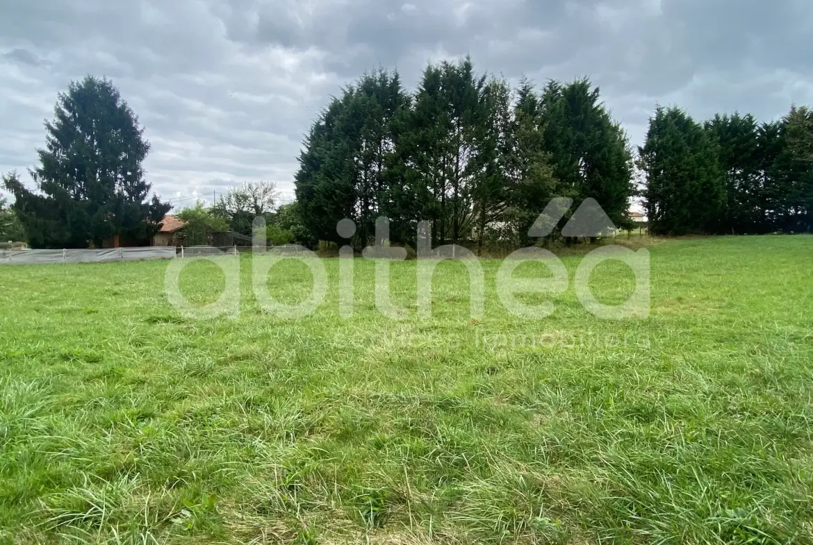 Terrain constructible non viabilisé à Cherves-Chatelars - Environnement calme 