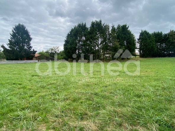 Terrain constructible non viabilisé à Cherves-Chatelars - Environnement calme