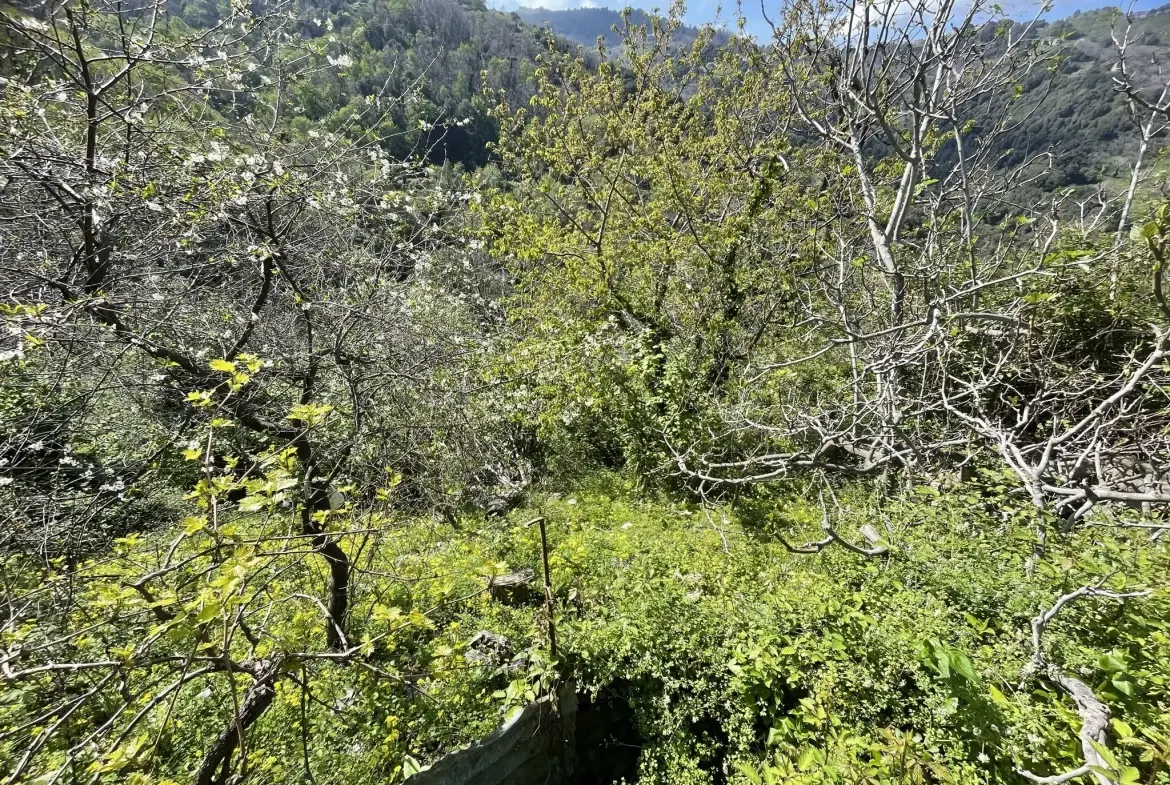 Maison de village à San Nicolao en Corse avec terrasse et jardin 