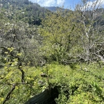 Maison de village à San Nicolao en Corse avec terrasse et jardin