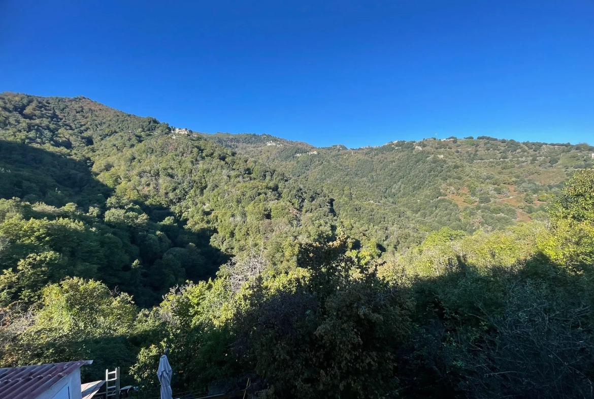 Maison de village à San Nicolao en Corse avec terrasse et jardin 