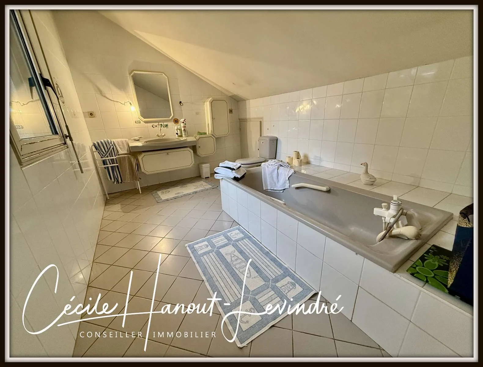 Maison de 209 m² avec jardin à Romagné, proche Fougères 