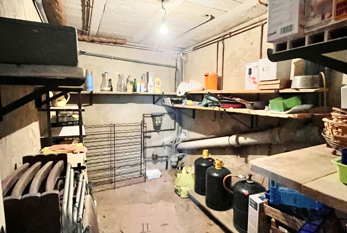 À vendre maison lumineuse de 120 m² avec sous-sol, jardin à La Ferté Gaucher 