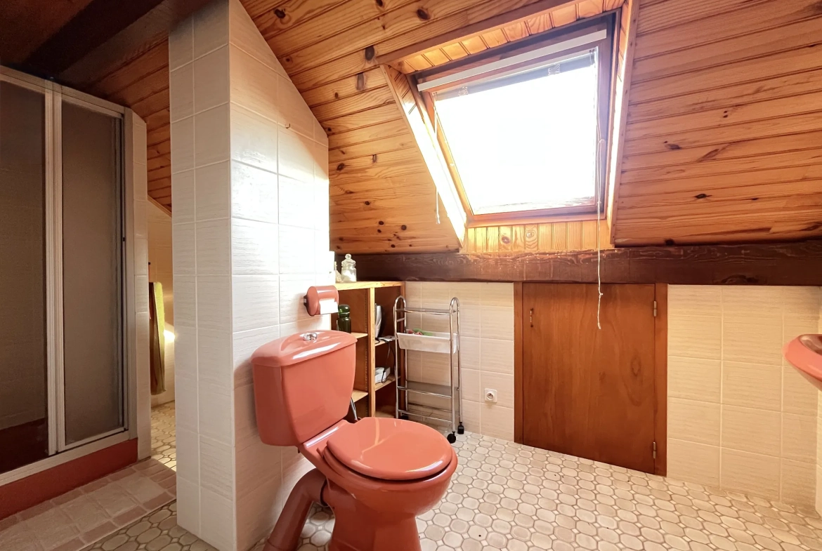 À vendre maison lumineuse de 120 m² avec sous-sol, jardin à La Ferté Gaucher 