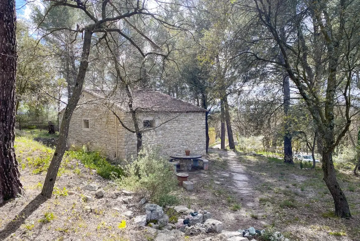 Mazet en pierre à Velleron, 2 pièces, 43 m², terrain 2875 m², rénovation récente 