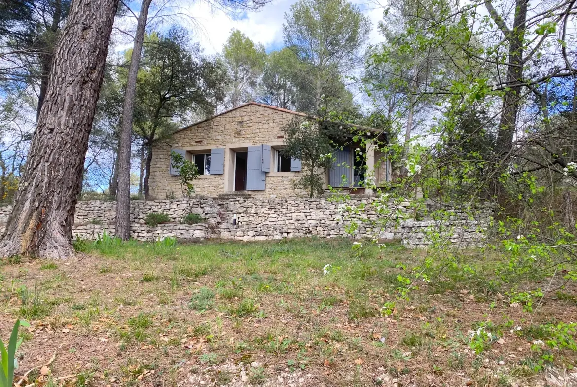 Mazet en pierre à Velleron, 2 pièces, 43 m², terrain 2875 m², rénovation récente 