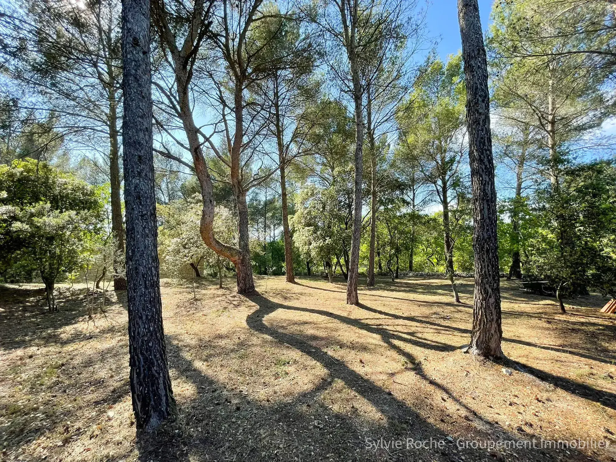 Mazet en pierre à Velleron, 2 pièces, 43 m², terrain 2875 m², rénovation récente 