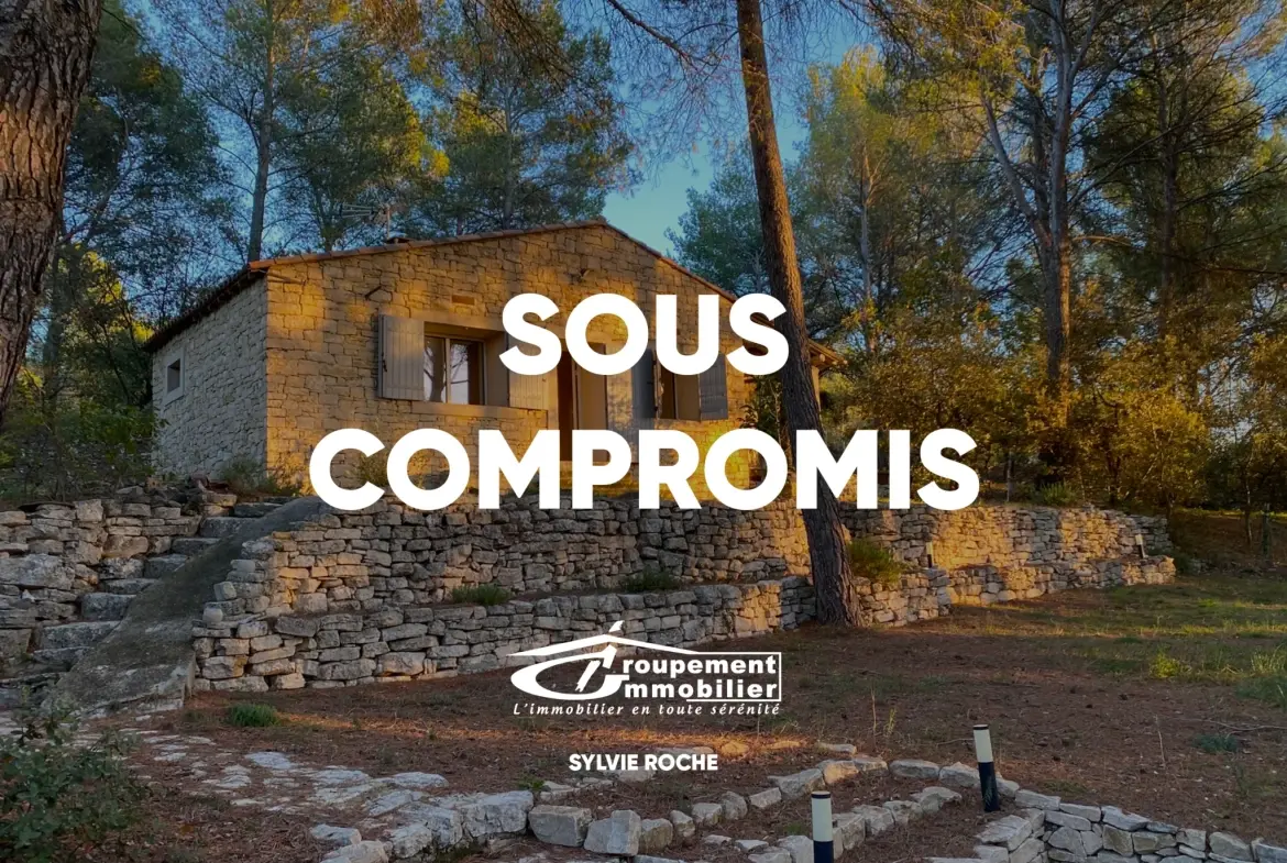 Mazet en pierre à Velleron, 2 pièces, 43 m², terrain 2875 m², rénovation récente 