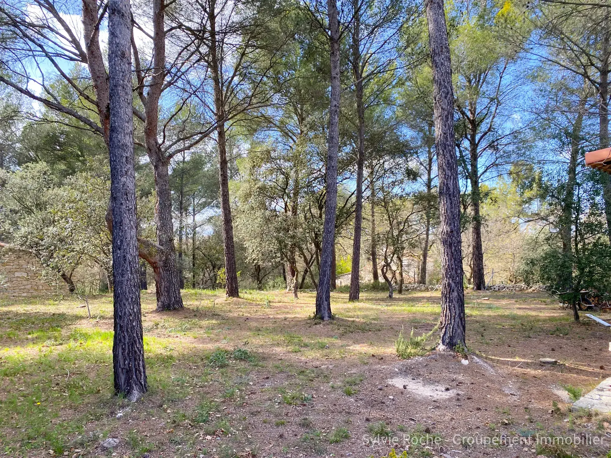 Mazet en pierre à Velleron, 2 pièces, 43 m², terrain 2875 m², rénovation récente 