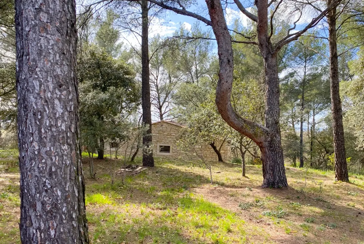 Mazet en pierre à Velleron, 2 pièces, 43 m², terrain 2875 m², rénovation récente 