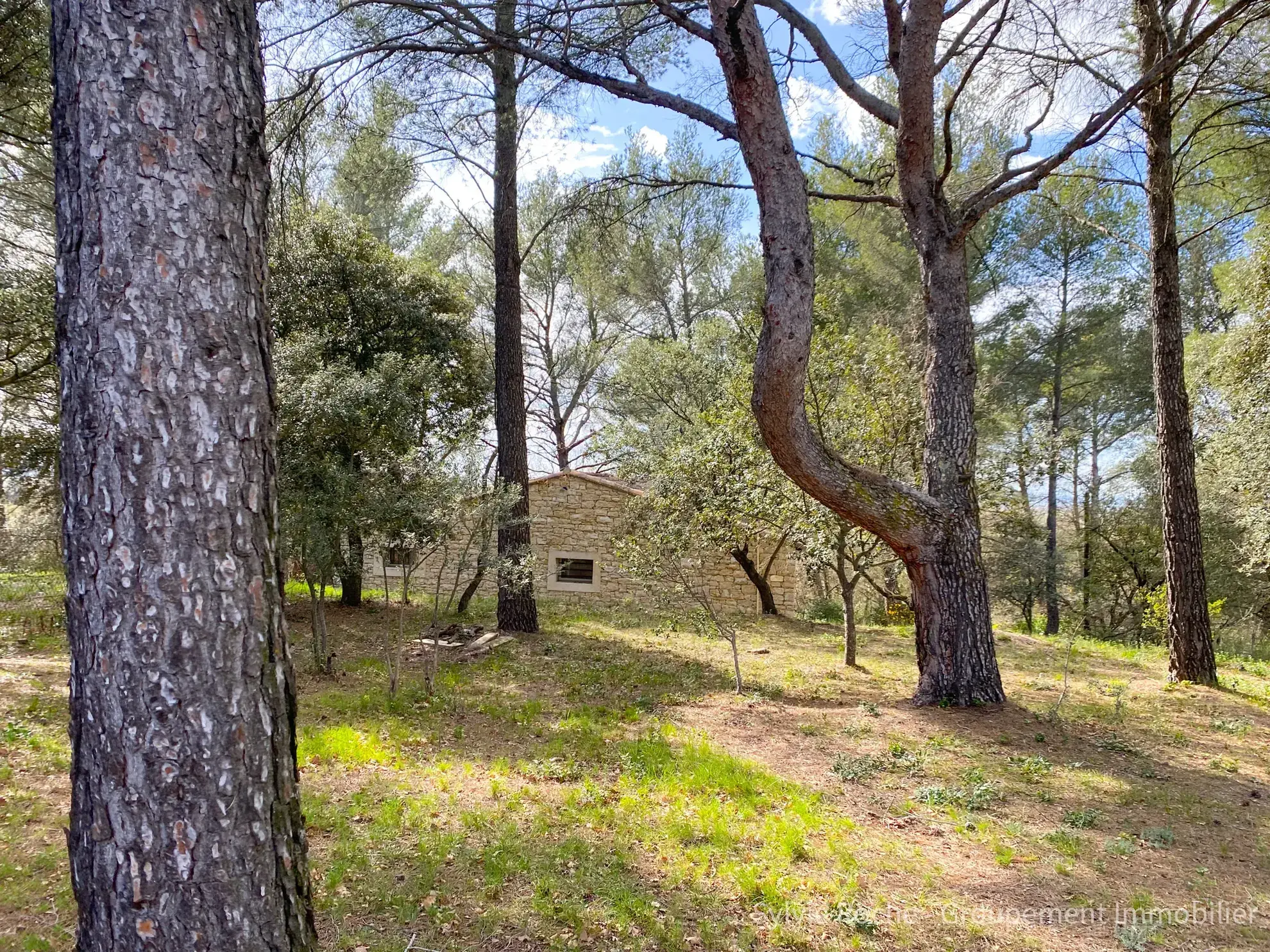 Mazet en pierre à Velleron, 2 pièces, 43 m², terrain 2875 m², rénovation récente 