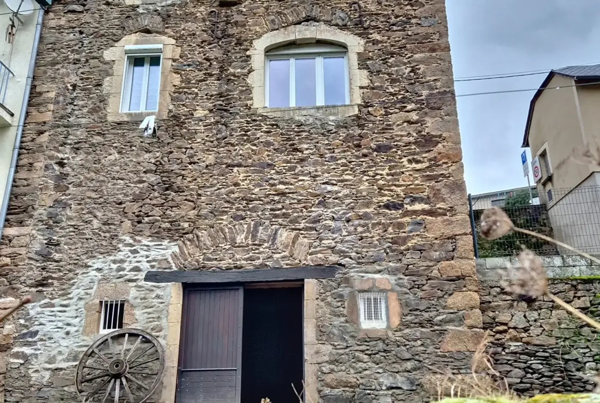Maison de village en pierre de 164 m² avec jardin et garage à Salmiech 