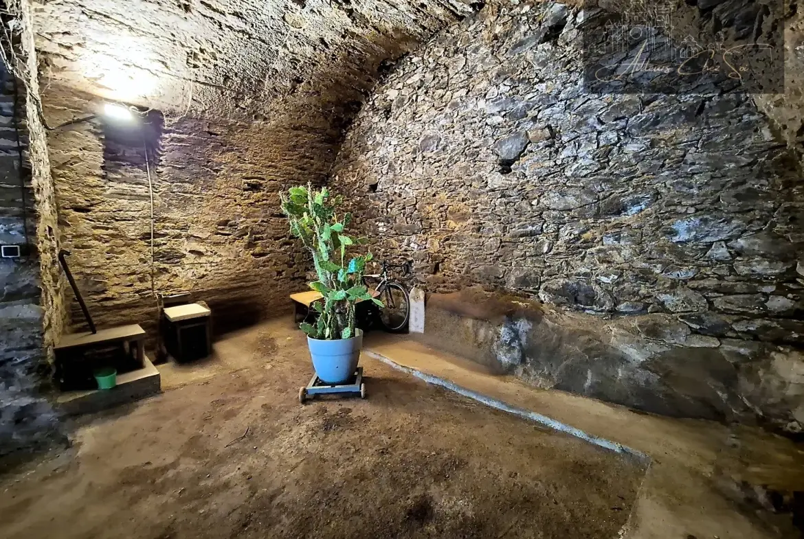 Maison de village en pierre de 164 m² avec jardin et garage à Salmiech 